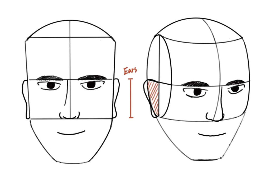 如何畫耳朵？最簡單的3個步驟－耳朵位置