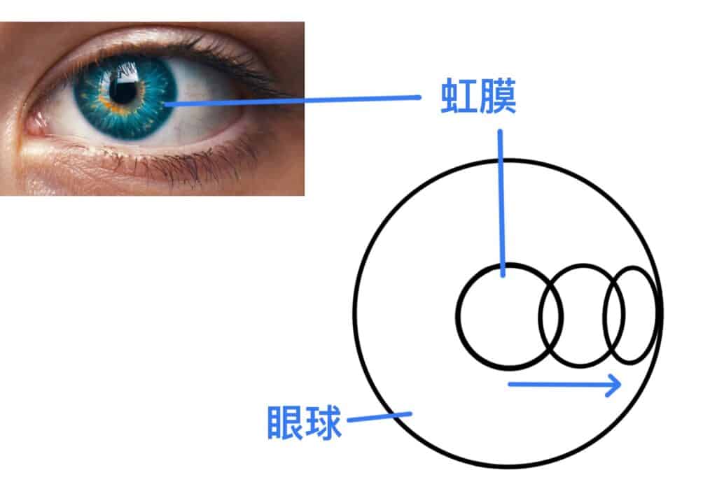 【最簡單的畫畫教學】畫眼睛的五個步驟－虹膜離中心越遠，橢圓形越窄