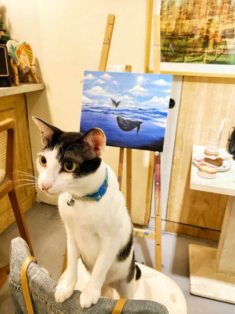 Away Cafe別處咖啡台北公館畫畫貓咪咖啡廳－畫畫、甜點、貓咪