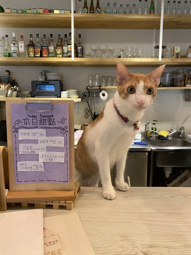Away Cafe別處咖啡台北公館畫畫貓咪咖啡廳－甜點菜單
