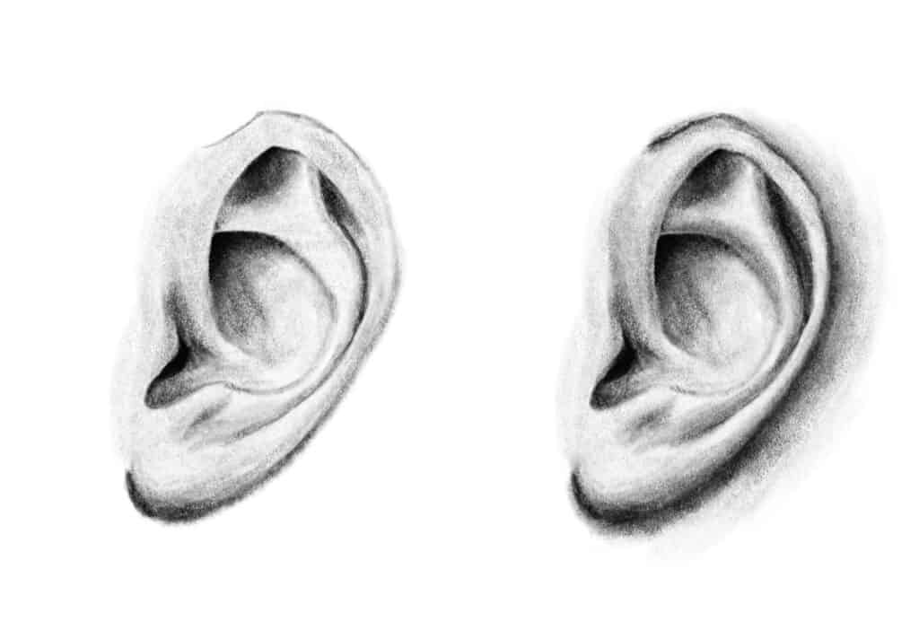 如何畫耳朵？最簡單的3個步驟－加深中間色調