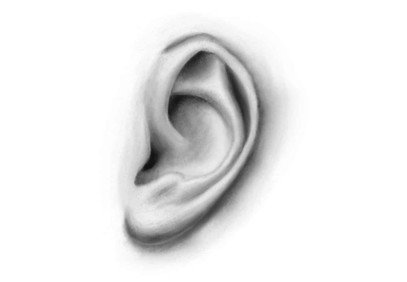 如何畫耳朵？最簡單的3個步驟