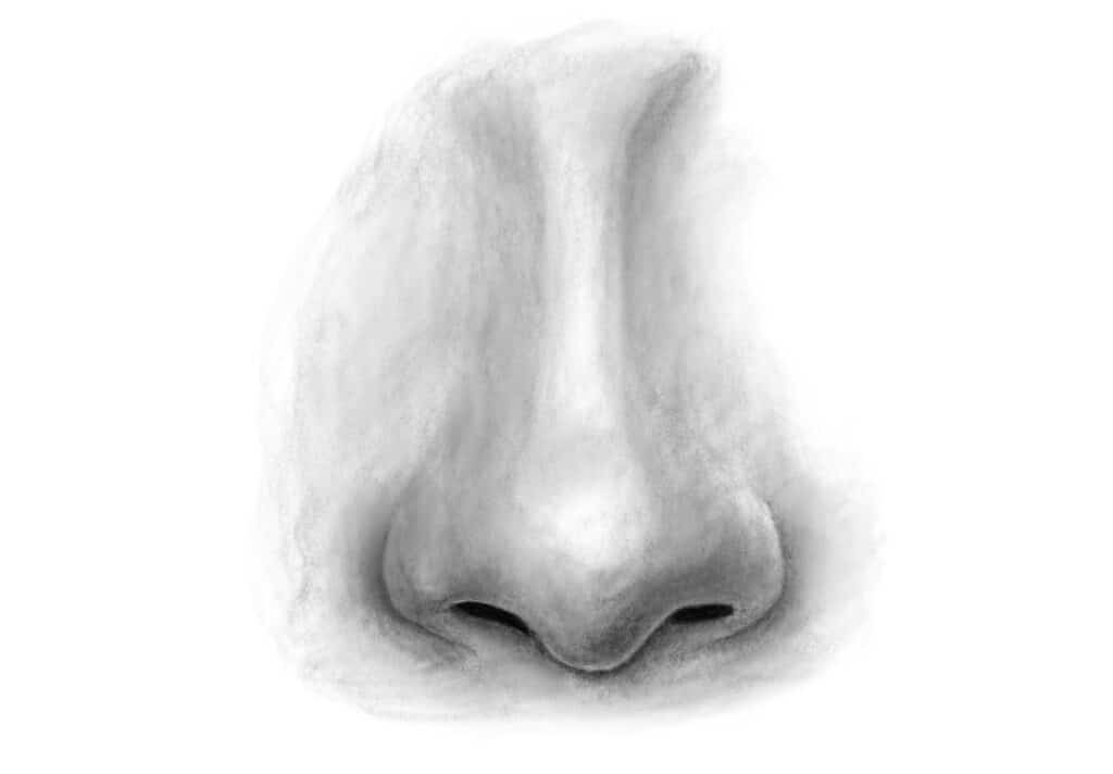 如何畫鼻子？最簡單又寫實的方法－加深陰影並畫出反射光