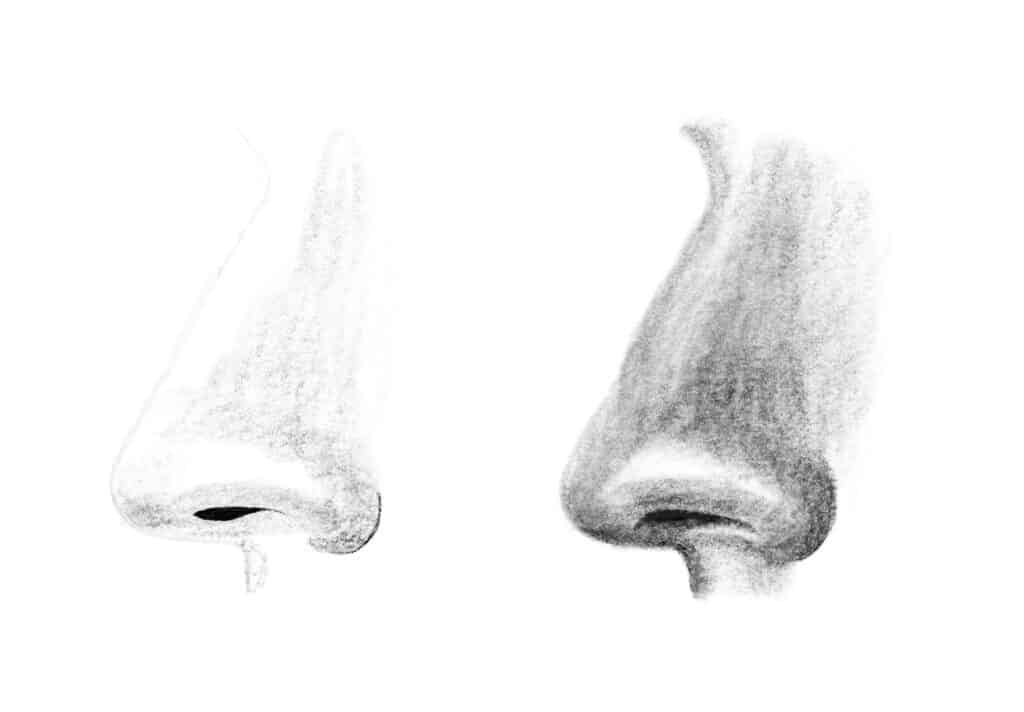 如何畫鼻子？最簡單又寫實的方法－加深陰影處並將高光留白