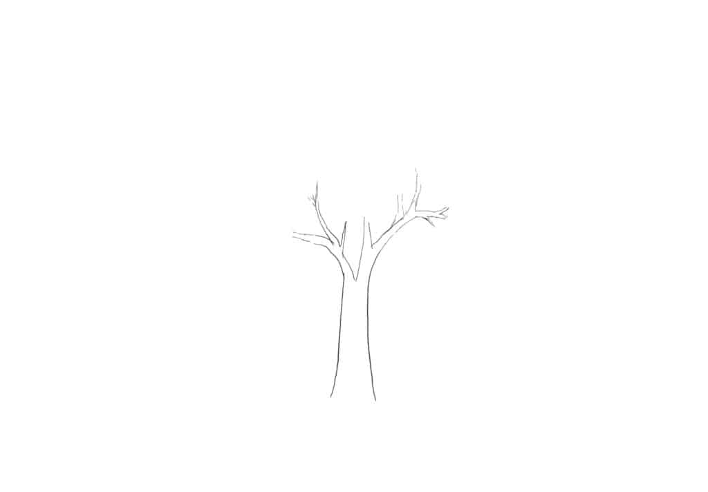 如何畫樹木？讓樹看起來自然的3個步驟－樹幹