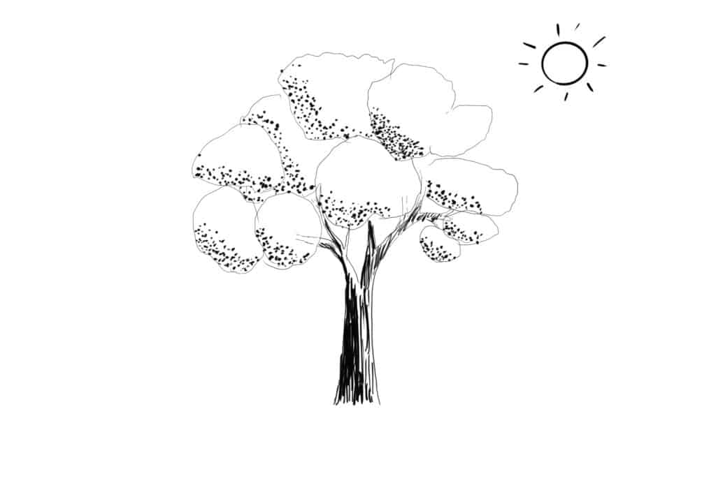 如何畫樹木？讓樹看起來自然的3個步驟－家上陰影
